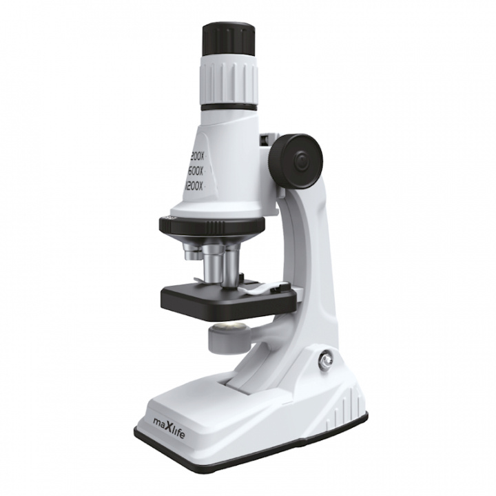 Maxlife microscope MXMS-100 white i gruppen LEKER, BARN OG BABY / Leker / Eksperiment & DIY hos TP E-commerce Nordic AB (38-97636)