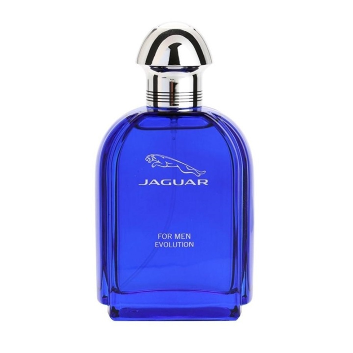 Jaguar For Men Evolution Edt 100ml i gruppen HELSE OG SKJØNNHET / Duft og parfyme / Parfyme / Parfyme for han hos TP E-commerce Nordic AB (A11083)