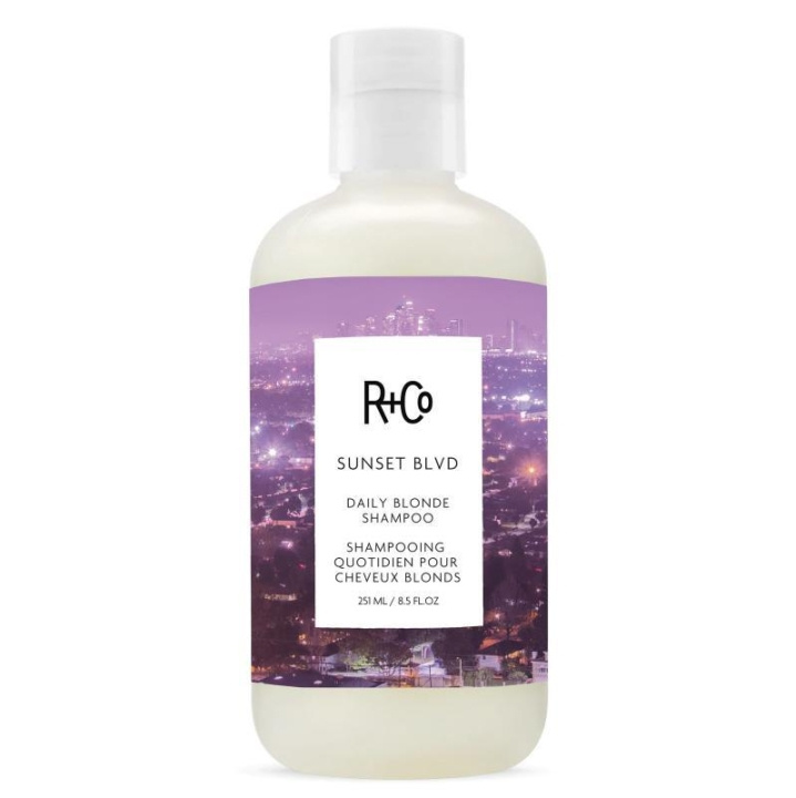 R+Co Sunset Blvd Blonde Shampoo 251ml i gruppen HELSE OG SKJØNNHET / Hår & styling / Hårpleie / Hårfarge / Sølv sjampo hos TP E-commerce Nordic AB (C13417)