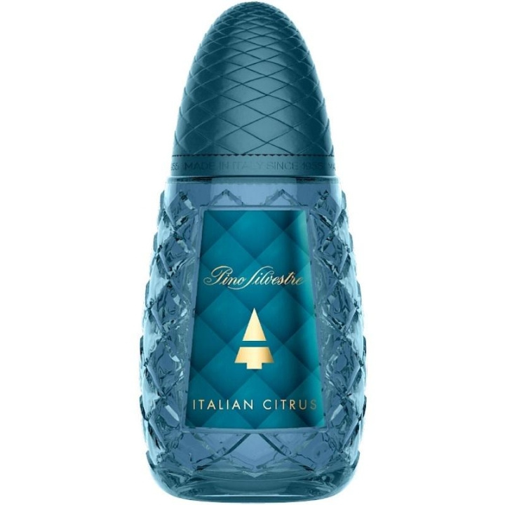 Pino Silvestre Italian Citrus Edt 125 ml i gruppen HELSE OG SKJØNNHET / Duft og parfyme / Parfyme / Parfyme for han hos TP E-commerce Nordic AB (C15002)