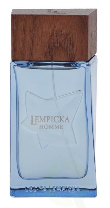 Lolita Lempicka Homme Edt Spray 100 ml i gruppen HELSE OG SKJØNNHET / Duft og parfyme / Parfyme / Parfyme for han hos TP E-commerce Nordic AB (C34233)