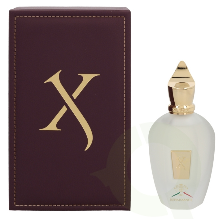 Xerjoff Renaissance Edp Spray 100 ml i gruppen HELSE OG SKJØNNHET / Duft og parfyme / Parfyme / Unisex hos TP E-commerce Nordic AB (C36088)