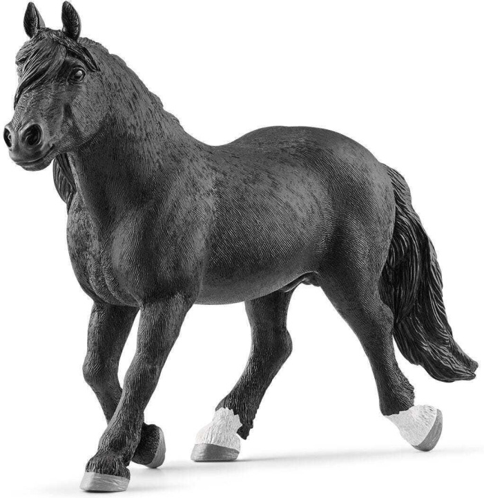 Schleich Horse Club 13958 Norikerhingst i gruppen LEKER, BARN OG BABY / Leker / Figurer & miniatyrer hos TP E-commerce Nordic AB (C47858)