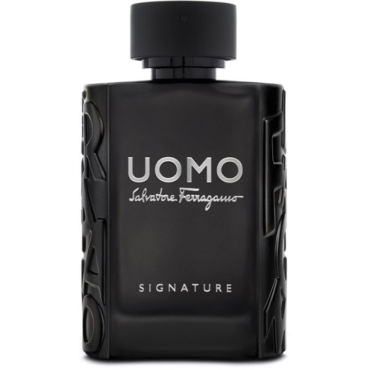 Salvatore Ferragamo Uomo Signature Edp 100ml i gruppen HELSE OG SKJØNNHET / Duft og parfyme / Parfyme / Parfyme for han hos TP E-commerce Nordic AB (C62245)