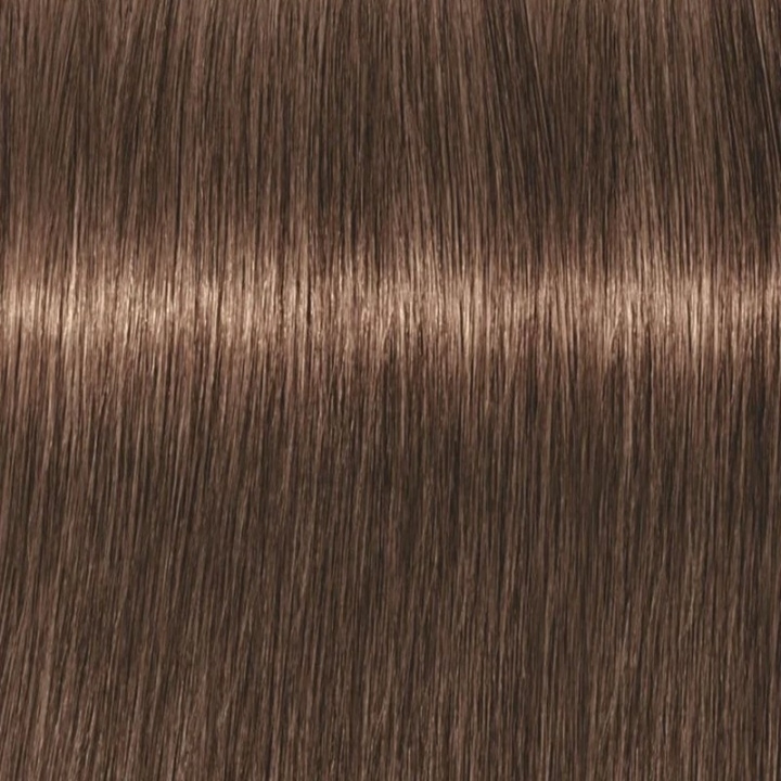 Schwarzkopf Professional Igora Vibrance Kit 6-46 Dark Blonde Beige Chocolate i gruppen HELSE OG SKJØNNHET / Hår & styling / Hårpleie / Hårfarge / Hårfarge & Fargebombe hos TP E-commerce Nordic AB (C62324)