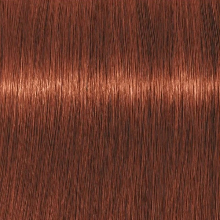 Schwarzkopf Professional Igora Vibrance Kit 6-78 Dark Blonde Copper Red i gruppen HELSE OG SKJØNNHET / Hår & styling / Hårpleie / Hårfarge / Hårfarge & Fargebombe hos TP E-commerce Nordic AB (C62325)