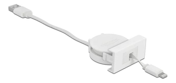 DeLOCK Easy 45 Module USB 2.0 Cable USB Type-A to 8 Pin Lightning i gruppen SMARTTELEFON & NETTBRETT / Ladere og Kabler / Adaptere hos TP E-commerce Nordic AB (C70659)