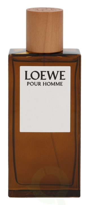 Loewe Pour Homme Edt Spray 100 ml i gruppen HELSE OG SKJØNNHET / Duft og parfyme / Parfyme / Parfyme for han hos TP E-commerce Nordic AB (C72606)