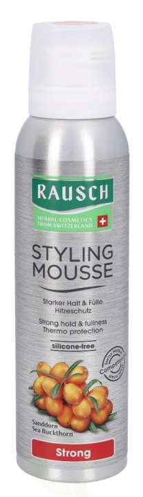 Rausch Styling Mousse 150 ml i gruppen HELSE OG SKJØNNHET / Hår & styling / Hårstyling / Hårmousse hos TP E-commerce Nordic AB (C73697)