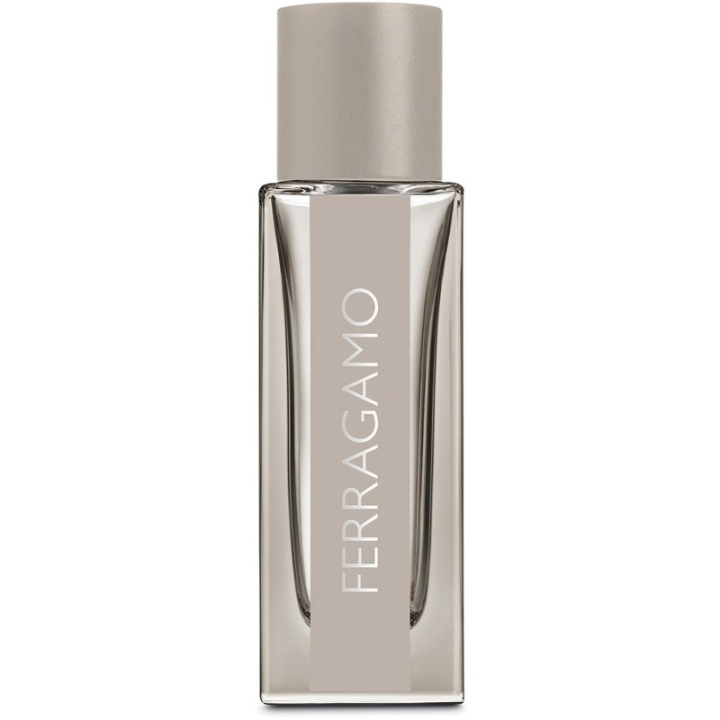 Salvatore Ferragamo Bright Leather Edt 30ml i gruppen HELSE OG SKJØNNHET / Duft og parfyme / Parfyme / Parfyme for han hos TP E-commerce Nordic AB (C74732)