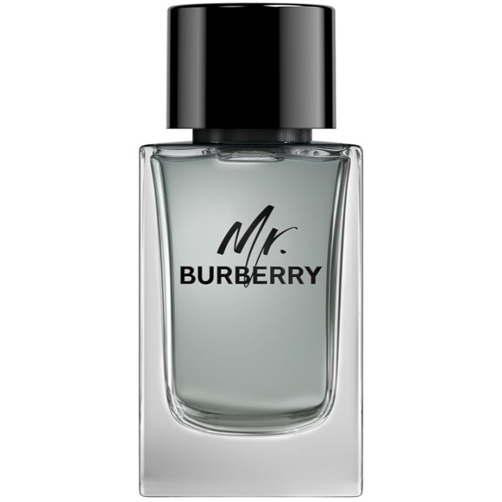 Burberry Mr Burberry Edt 100ml i gruppen HELSE OG SKJØNNHET / Duft og parfyme / Parfyme / Parfyme for han hos TP E-commerce Nordic AB (C74760)