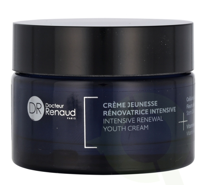 Dr. Renaud Intensive Renewal Youth Cream 50 ml i gruppen HELSE OG SKJØNNHET / Hudpleie / Ansikt / Ansiktskrem hos TP E-commerce Nordic AB (C75014)