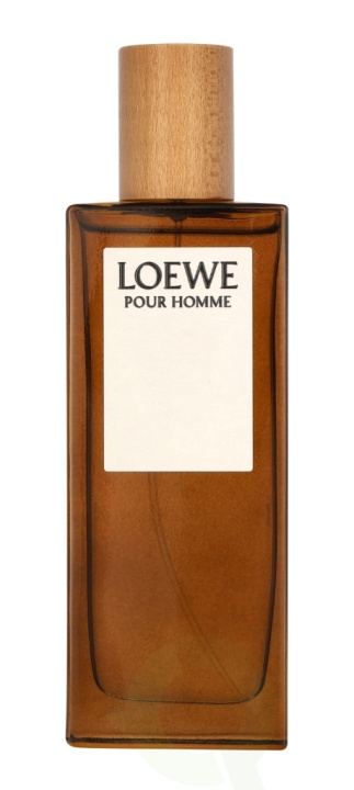 Loewe Pour Homme Edt Spray 50 ml i gruppen HELSE OG SKJØNNHET / Duft og parfyme / Parfyme / Parfyme for han hos TP E-commerce Nordic AB (C76878)