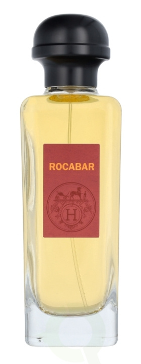 Hermes Rocabar Edt Spray 100 ml i gruppen HELSE OG SKJØNNHET / Duft og parfyme / Parfyme / Parfyme for han hos TP E-commerce Nordic AB (C77025)