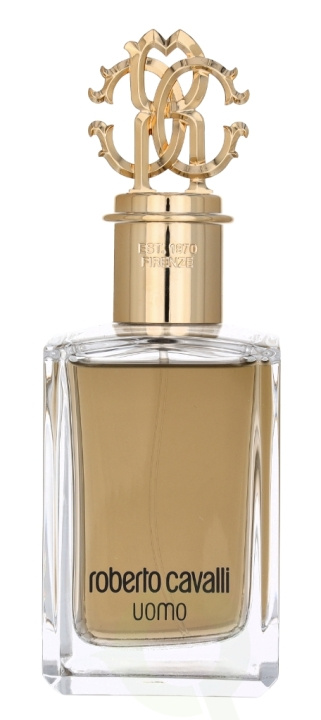 Roberto Cavalli Uomo Edt Spray 100 ml i gruppen HELSE OG SKJØNNHET / Duft og parfyme / Parfyme / Parfyme for han hos TP E-commerce Nordic AB (C78846)