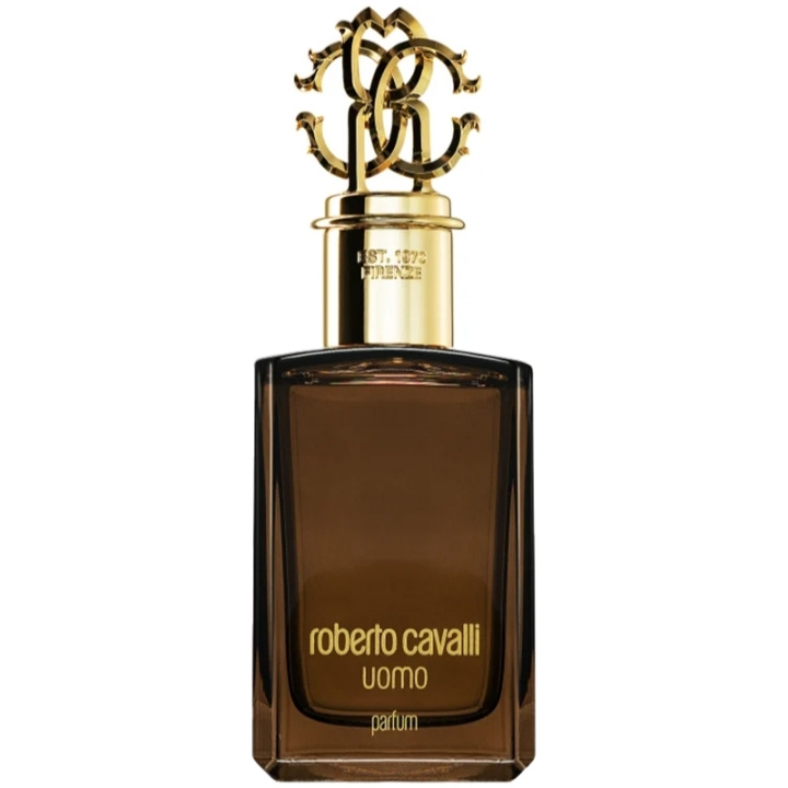 Roberto Cavalli Uomo Edp 100ml i gruppen HELSE OG SKJØNNHET / Duft og parfyme / Parfyme / Parfyme for han hos TP E-commerce Nordic AB (C78983)