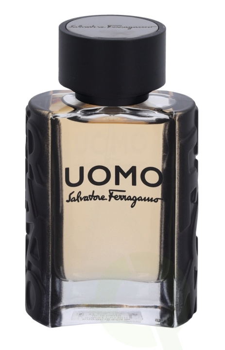 Ferragamo S. Ferragamo Uomo Pour Homme Edt Spray 30 ml i gruppen HELSE OG SKJØNNHET / Duft og parfyme / Parfyme / Parfyme for han hos TP E-commerce Nordic AB (C79123)