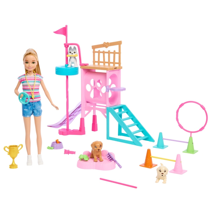 Barbie Stacies valpelekeplass-lekesett (HRM10) i gruppen LEKER, BARN OG BABY / Leker / Dukker & tilbehør hos TP E-commerce Nordic AB (C80818)