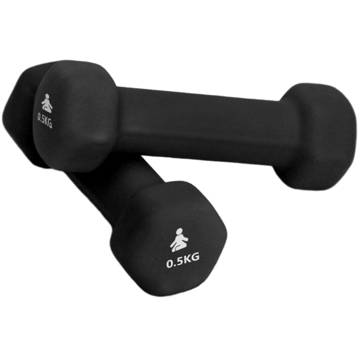 Fitpaddy Premium Dumbbells 2 x 0.5 kg i gruppen SPORT, FRITID & HOBBY / Treningsutstyr / Treningstilbehør hos TP E-commerce Nordic AB (C82840)