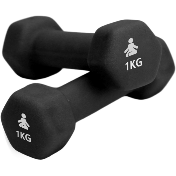 Fitpaddy Premium Dumbbells 2 x 1 kg i gruppen SPORT, FRITID & HOBBY / Treningsutstyr / Treningstilbehør hos TP E-commerce Nordic AB (C82841)