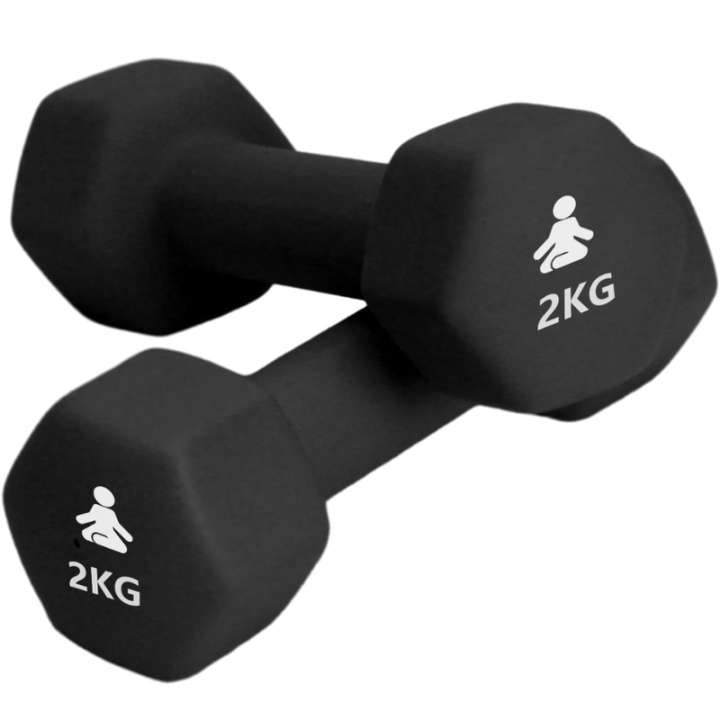 Fitpaddy Premium Dumbbells 2 x 2 kg i gruppen SPORT, FRITID & HOBBY / Treningsutstyr / Treningstilbehør hos TP E-commerce Nordic AB (C82842)