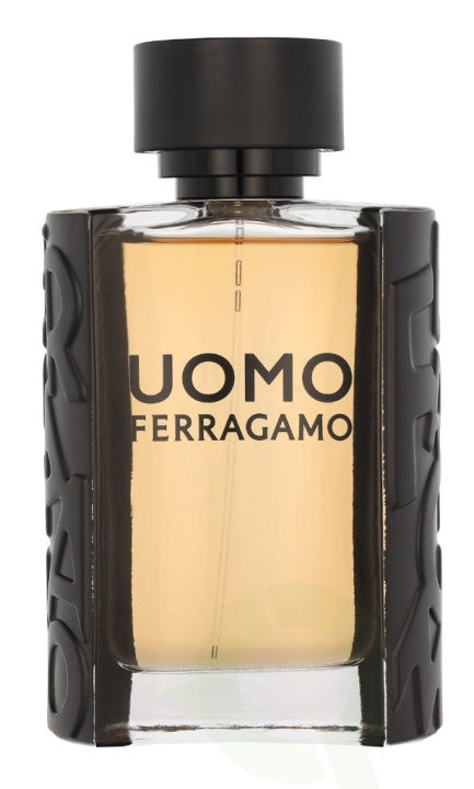 Ferragamo S. Ferragamo Uomo Pour Homme Edt Spray 100 ml i gruppen HELSE OG SKJØNNHET / Duft og parfyme / Parfyme / Parfyme for han hos TP E-commerce Nordic AB (C82920)