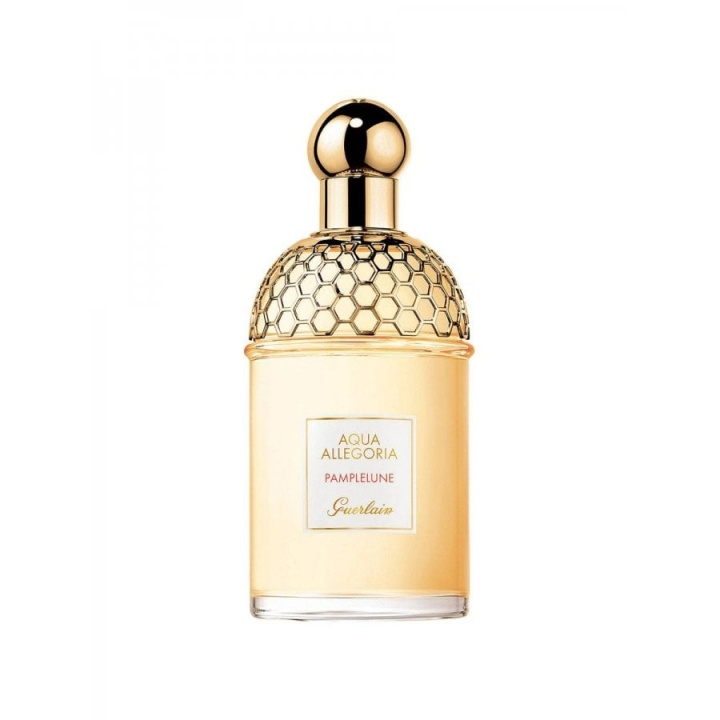 Guerlain Aqua Allegoria Pamplelune EDT 125 ml i gruppen HELSE OG SKJØNNHET / Duft og parfyme / Parfyme / Parfyme for henne hos TP E-commerce Nordic AB (C84763)