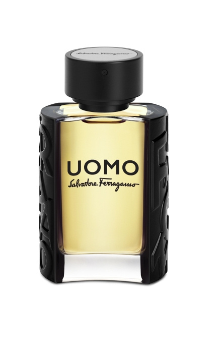 Salvatore Ferragamo Uomo EDT 50 ml i gruppen HELSE OG SKJØNNHET / Duft og parfyme / Parfyme / Parfyme for han hos TP E-commerce Nordic AB (C84871)