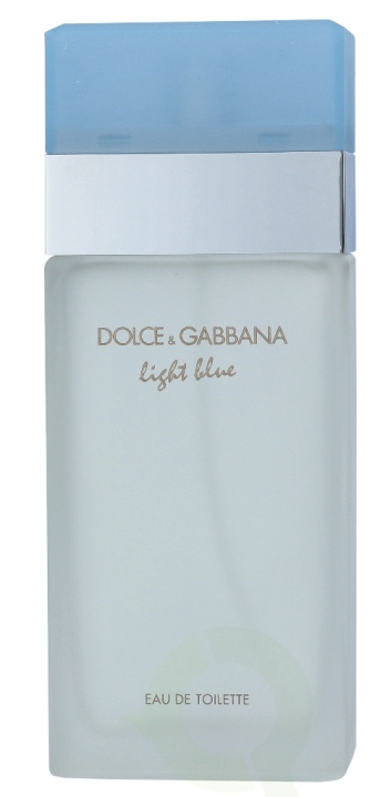 Dolce & Gabbana Light Blue Pour Femme Edt Spray 100 ml i gruppen HELSE OG SKJØNNHET / Duft og parfyme / Parfyme / Parfyme for henne hos TP E-commerce Nordic AB (C85070)