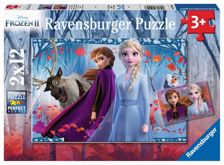 Ravensburger Frozen 2 Reisen inn i det ukjente 2x12p - 05009 i gruppen LEKER, BARN OG BABY / Leker / Barnas puslespill hos TP E-commerce Nordic AB (C85765)