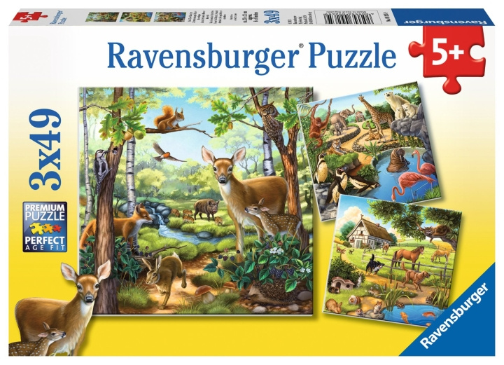 Ravensburger Skog/zoo/dom.dyr - 3x49p - 09265 i gruppen LEKER, BARN OG BABY / Leker / Barnas puslespill hos TP E-commerce Nordic AB (C85776)