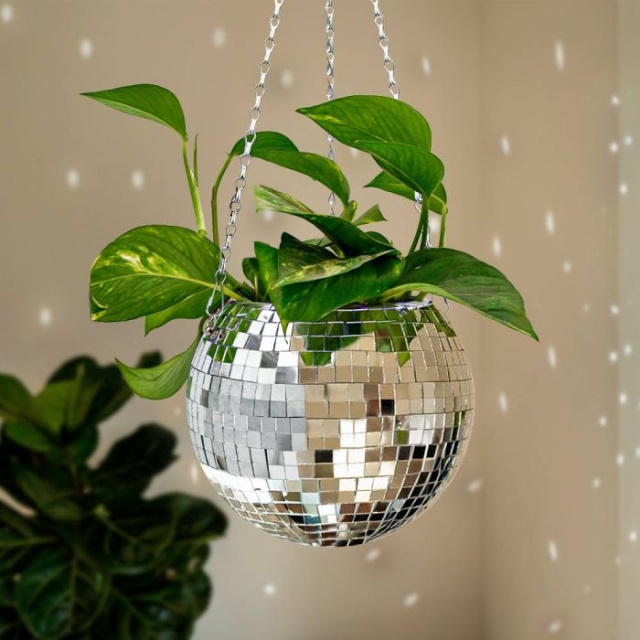 MikaMax FUNKY DISCO-POTTEPLANTE i gruppen SPORT, FRITID & HOBBY / Morsomme produkter / Morsomme produkter hos TP E-commerce Nordic AB (C85828)