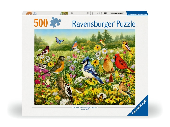 Ravensburger Puslespill Fugler på engen 500p (12000336) i gruppen LEKER, BARN OG BABY / Leker / Barnas puslespill hos TP E-commerce Nordic AB (C86444)