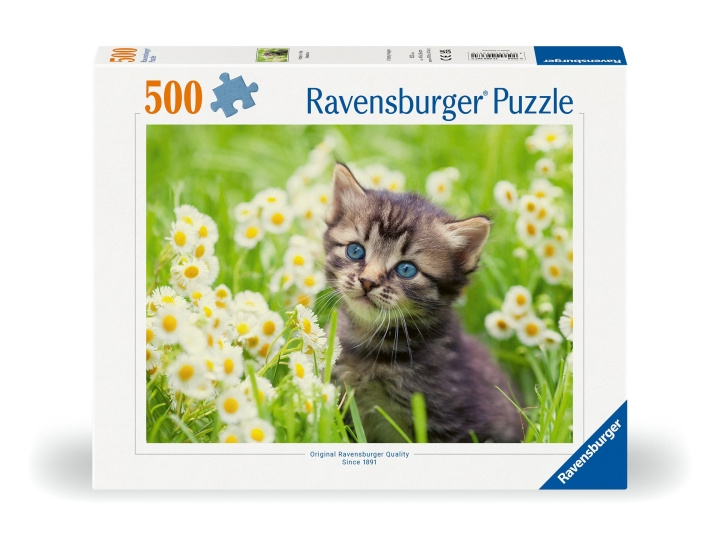 Ravensburger Puslespill Kattunge på engen 500p (12000367) i gruppen LEKER, BARN OG BABY / Leker / Barnas puslespill hos TP E-commerce Nordic AB (C86450)