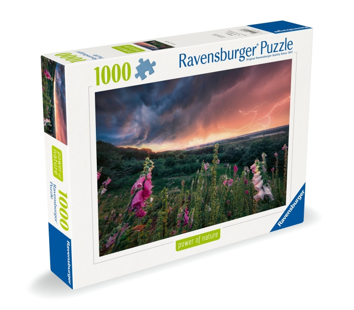 Ravensburger Puslespill Dreamy Thunder 1000p (12000793) i gruppen LEKER, BARN OG BABY / Leker / Barnas puslespill hos TP E-commerce Nordic AB (C86531)