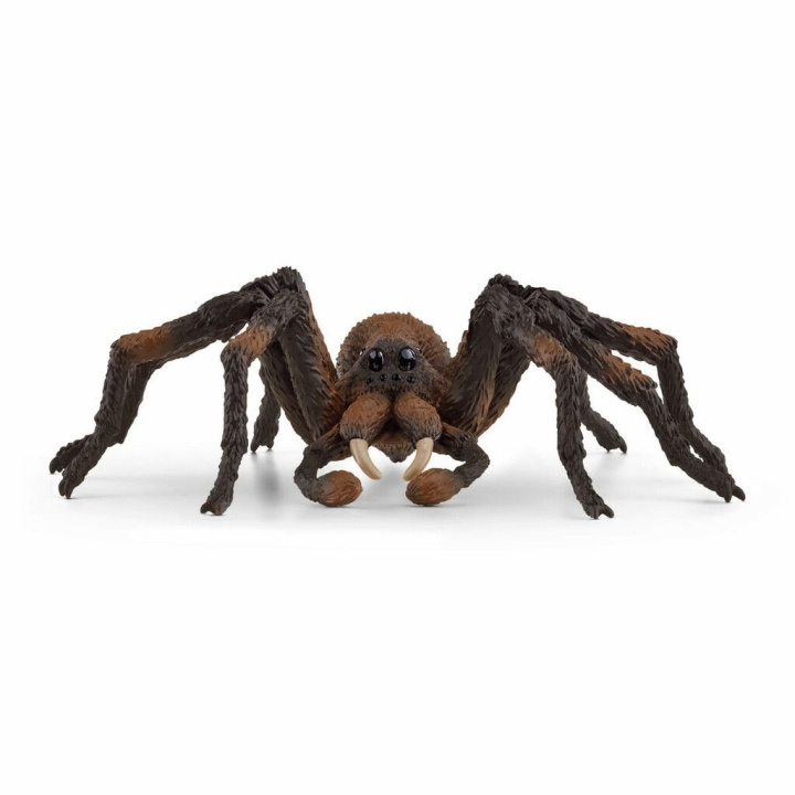 Schleich Harry Potter - Aragog (13987) i gruppen LEKER, BARN OG BABY / Leker / Figurer, miniatyrer og tilbehør hos TP E-commerce Nordic AB (C87595)