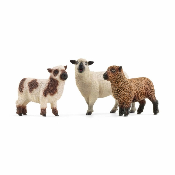 Schleich Farm World - Sauens venner (42660) i gruppen LEKER, BARN OG BABY / Leker / Figurer, miniatyrer og tilbehør hos TP E-commerce Nordic AB (C87712)