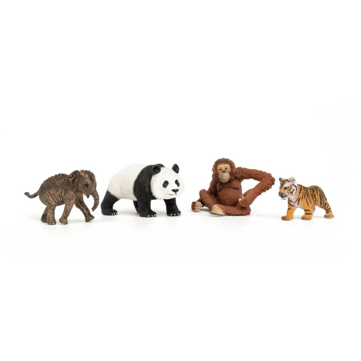 Schleich Wild Life - Asia Startsett (42736) i gruppen LEKER, BARN OG BABY / Leker / Lekesett hos TP E-commerce Nordic AB (C87908)