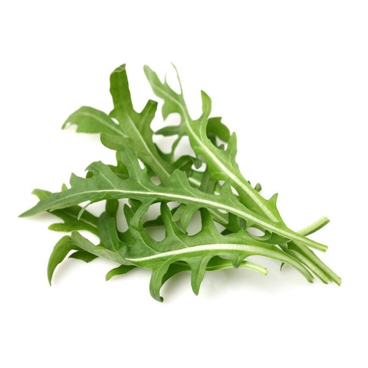 Click & Grow - Smart Garden Refill 3-pakning - Rucola/Rocket (SGR19X3) i gruppen SPORT, FRITID & HOBBY / Morsomme produkter / Smarte produkter hos TP E-commerce Nordic AB (C93770)