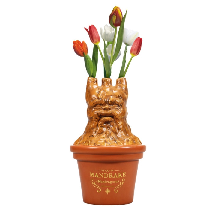 Harry Potter Alruneformet vase (5261TTVHP07) i gruppen SPORT, FRITID & HOBBY / Morsomme produkter / Samlerobjekter hos TP E-commerce Nordic AB (C93856)