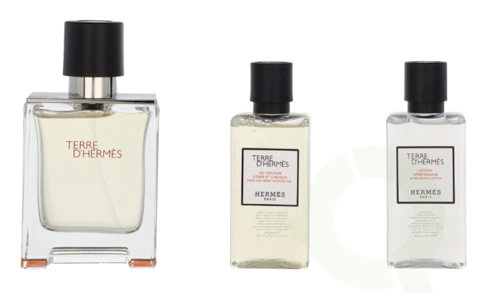 Hermes Terre D\'Hermes Giftset 130 ml Edt Spray 50ml/Shower Gel 40ml/Body Lotion 40ml i gruppen HELSE OG SKJØNNHET / Gavesett / Gavesett for ham hos TP E-commerce Nordic AB (C95005)