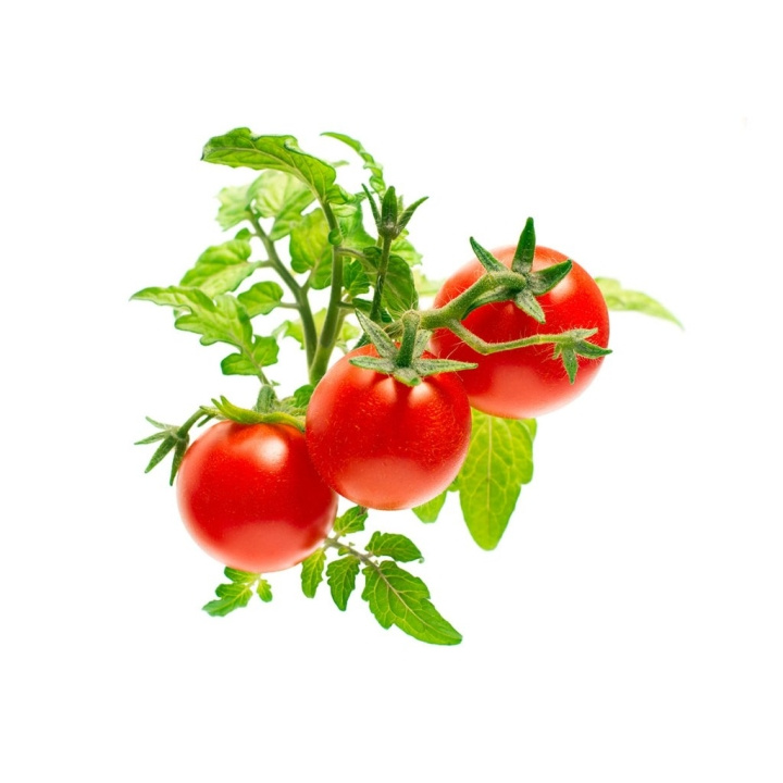 Click & Grow Smart Garden Refill 3-pakning - Mini Tomato (SGR5X3) i gruppen SPORT, FRITID & HOBBY / Morsomme produkter / Smarte produkter hos TP E-commerce Nordic AB (C96652)