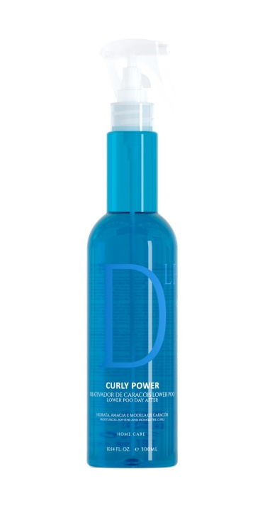 EVAN Curly Power Day After Curl Reactivator Lower Poo Spray 300 ml i gruppen HELSE OG SKJØNNHET / Hår & styling / Hårpleie hos TP E-commerce Nordic AB (C96701)