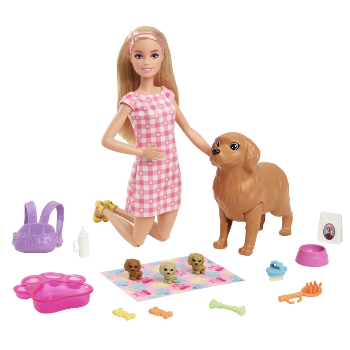 Barbie Lekesett med dukke og nyfødte valper (HCK75) i gruppen LEKER, BARN OG BABY / Leker / Dukker & tilbehør hos TP E-commerce Nordic AB (C97101)