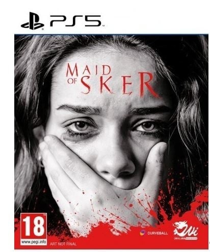 Maid of Sker (PS5) i gruppen Elektronikk / TV-spill & tilbehør / Sony PlayStation 5 / Spill hos TP E-commerce Nordic AB (C97283)