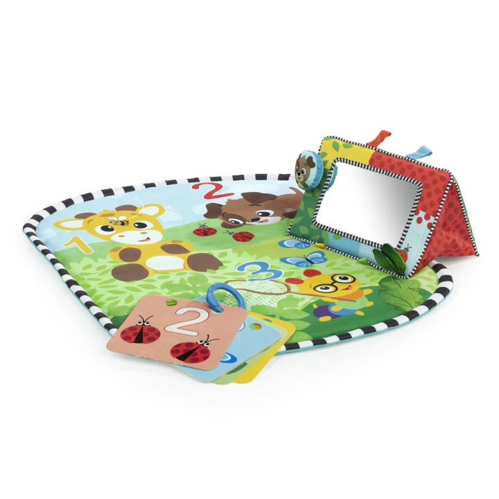 Baby Einstein Discovery Garden™ Magematte og speil - (BE-16788) i gruppen LEKER, BARN OG BABY / Babyleker (0-3 år) / Aktivitetsleker hos TP E-commerce Nordic AB (C97489)