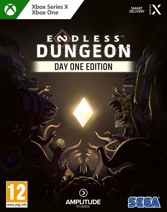 Endless Dungeon (Day One Edition) (XseriesX) i gruppen Elektronikk / TV-spill & tilbehør / Xbox Series X / Spill hos TP E-commerce Nordic AB (C98674)