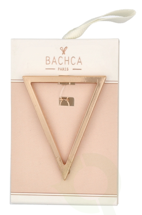 Bachca Paris Triangle Metal Hair Clip 1 piece i gruppen HELSE OG SKJØNNHET / Hår & styling / Hårtilbehør hos TP E-commerce Nordic AB (C99882)