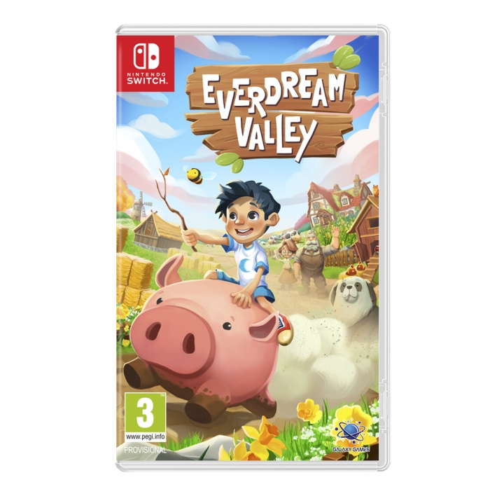 Everdream Valley (Switch) i gruppen Elektronikk / TV-spill & tilbehør / Nintendo Switch / Spel hos TP E-commerce Nordic AB (D02802)