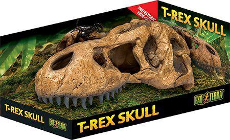 Exoterra T-rex-skalle fra hule - (222.2059) i gruppen HJEM, HUS OG HAGE / Dyretilbehør / Tilbehør til terrarier hos TP E-commerce Nordic AB (D03864)